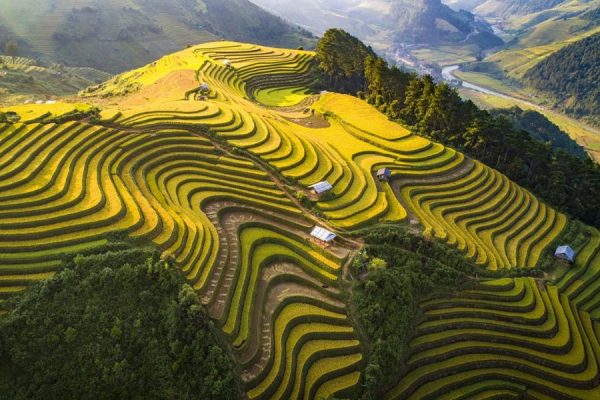 Núi rừng hùng vĩ Sapa - Tour Xuyên Việt Khởi Hành Từ Hà Nội 19 Ngày