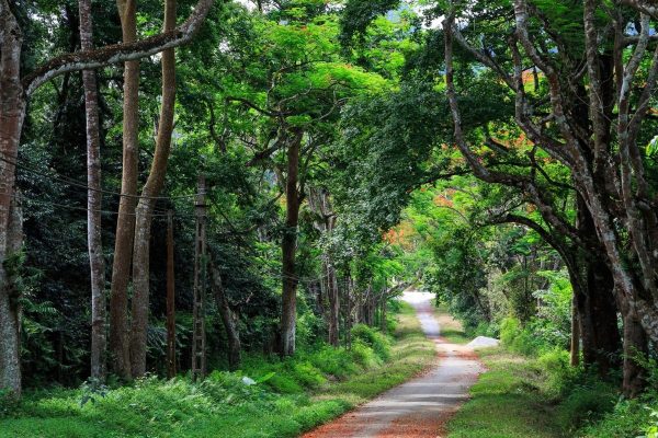 du lịch cúc phương vân long