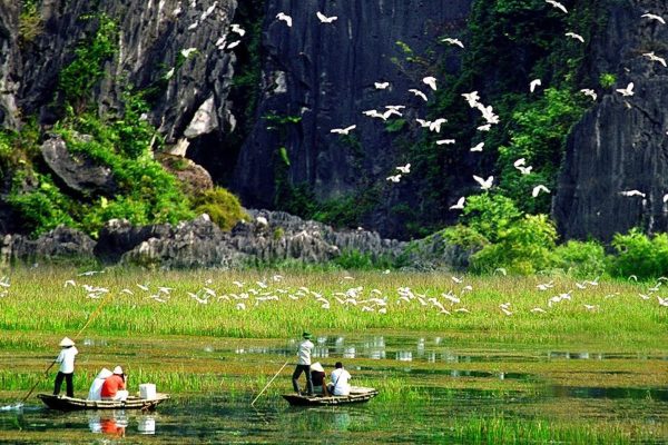 du lịch cúc phương vân long