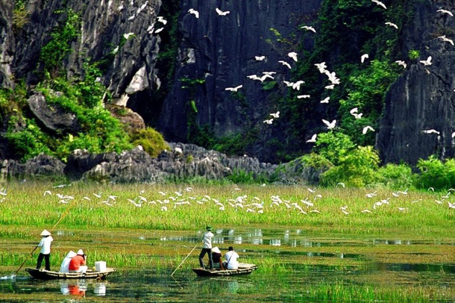 du lịch cúc phương vân long