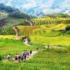du lịch pù luông