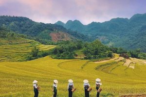 du lịch pù luông