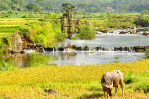 du lịch mai châu - pù luông - ninh bình