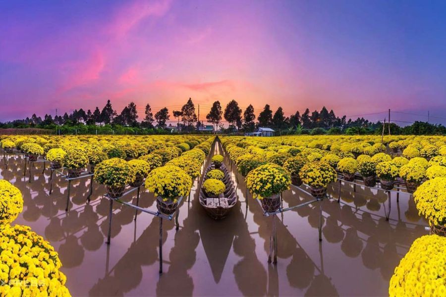làng hoa Sa Đéc
