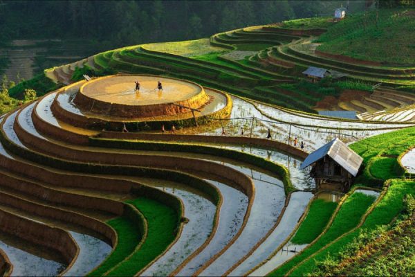 Ruộng bậc thang Sapa