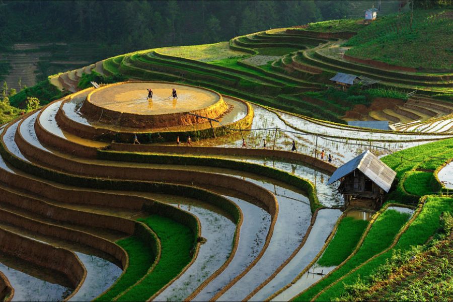 Ruộng bậc thang Sapa