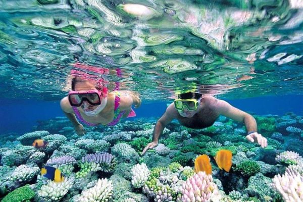 Snorkeling ngắm san hô