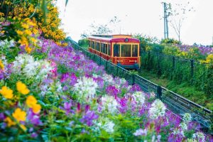 Thung lũng Mường Hoa