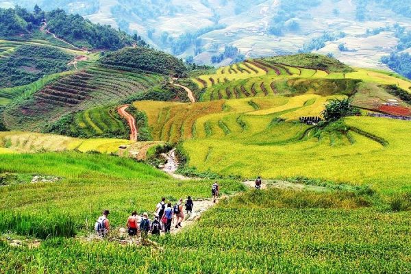 Trekking Sapa