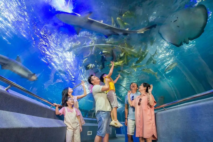 Viện Hải Dương Học